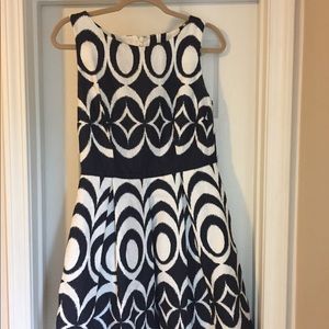 The Limited Dress - Full Skirt